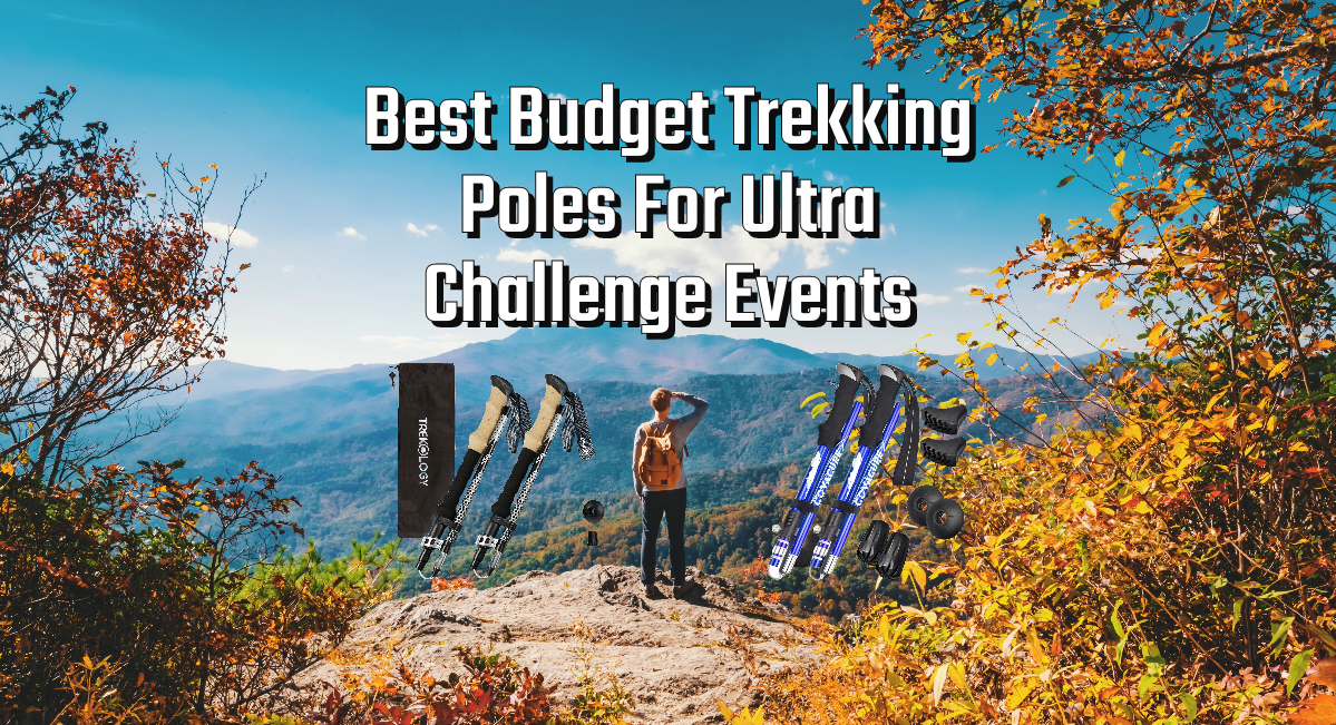Best Budget Trekking Poles Main Image